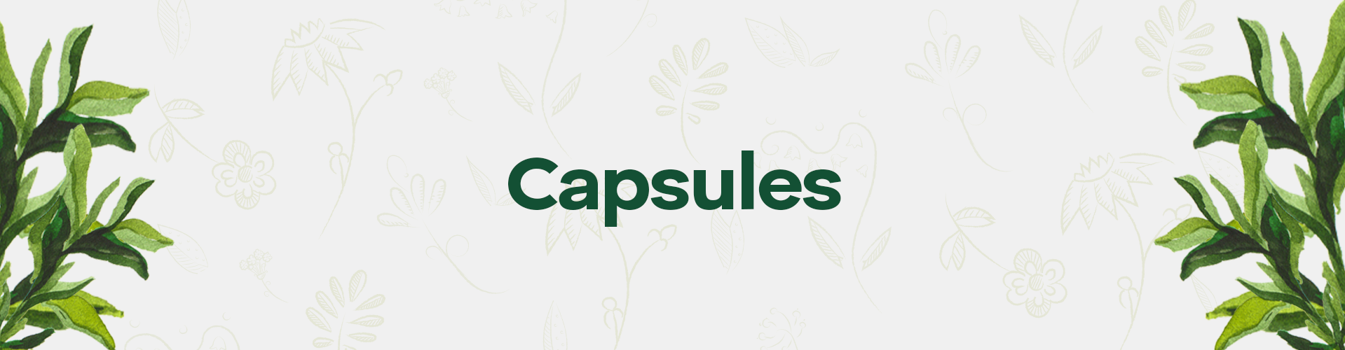 Capsules - Baidyanath