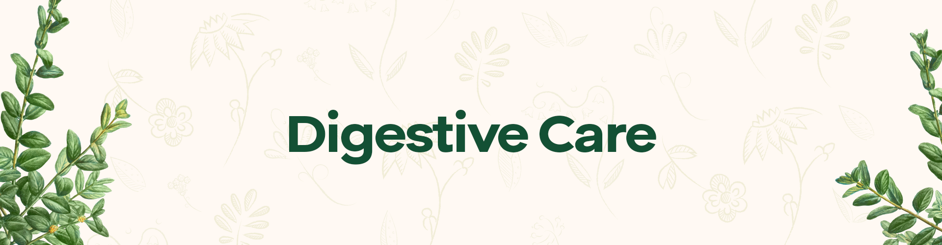 Goodcare Digestive Care - Baidyanath