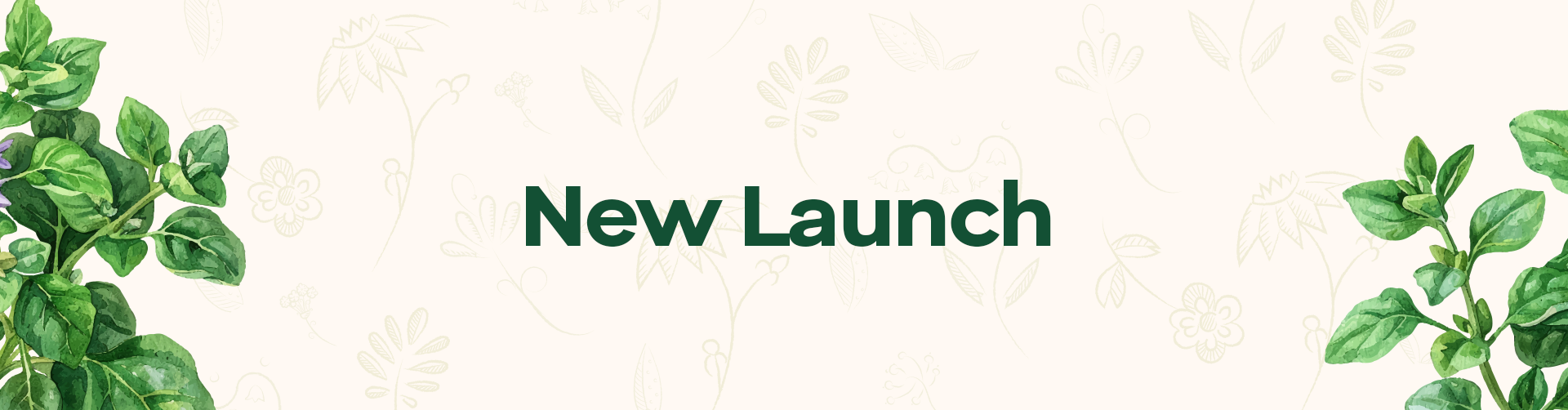 New Launch