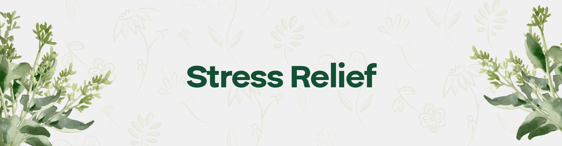 Stress Relief - Baidyanath