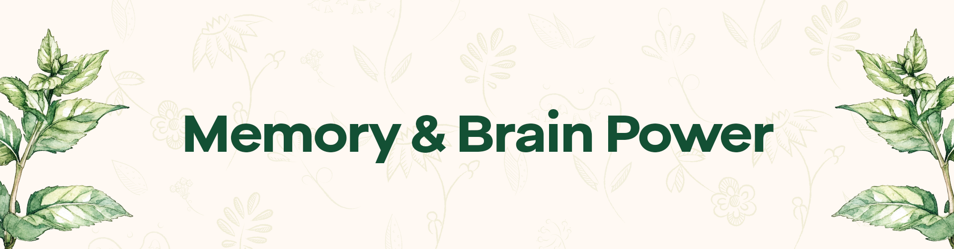 Memory & Brain Power