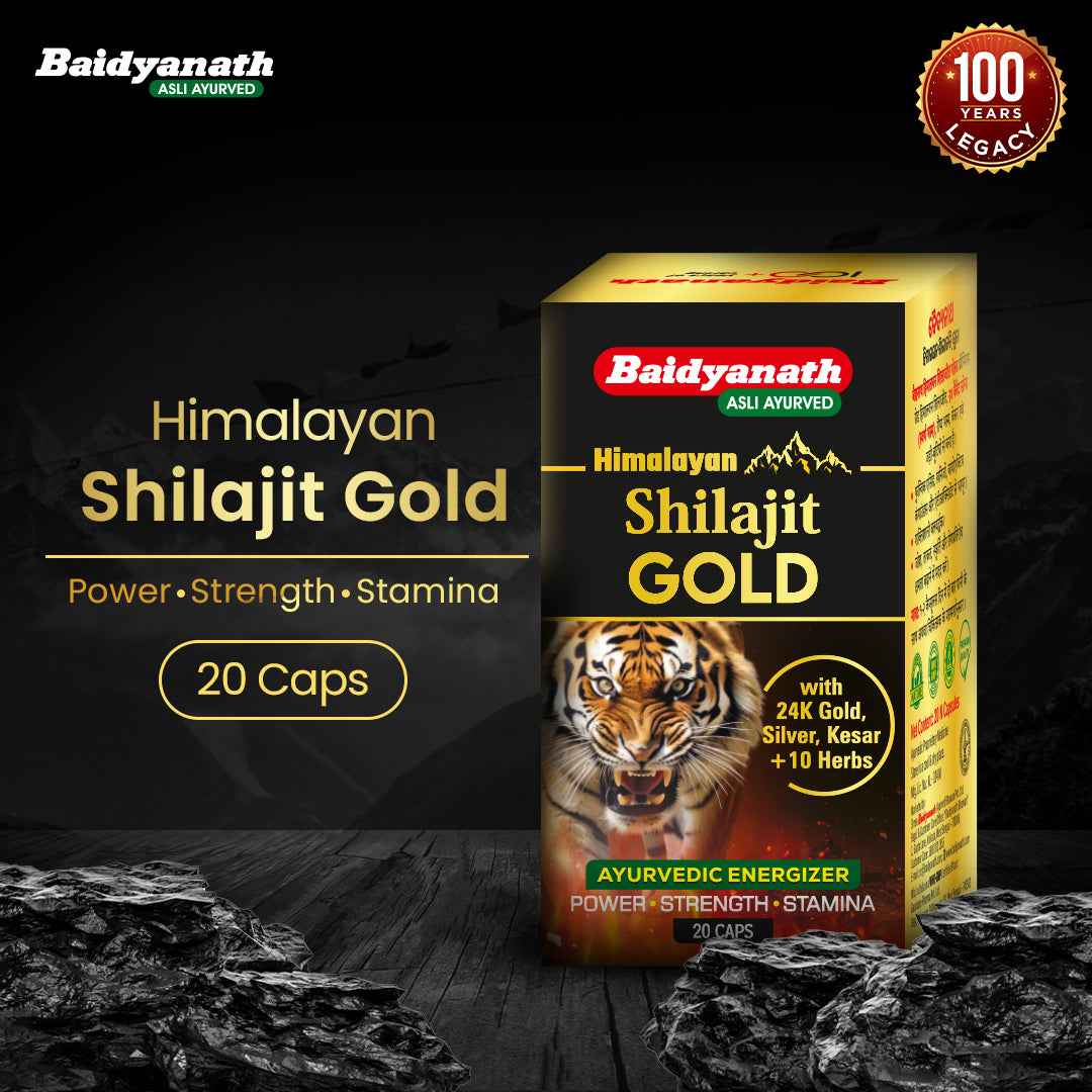 Baidyanath Himalayan Shilajit Gold- 20 Capsules