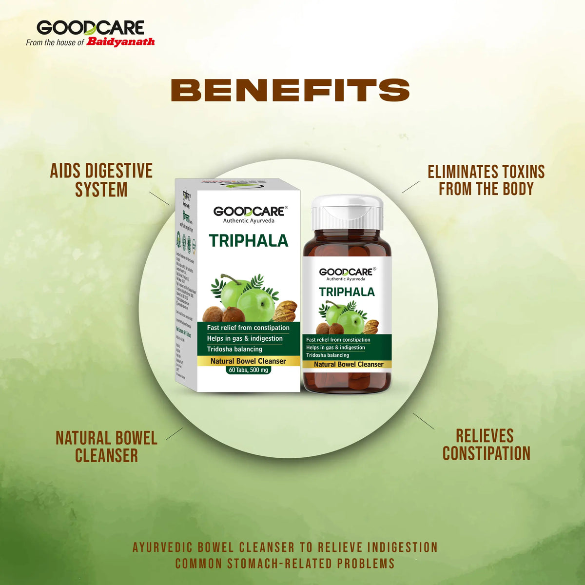 Goodcare Triphala Tablets | 60 Tab