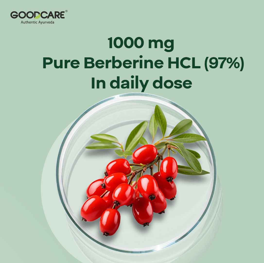 Goodcare Berberine 60 Capsules – Natural Support for Blood Sugar, Cholesterol & Metabolic Health