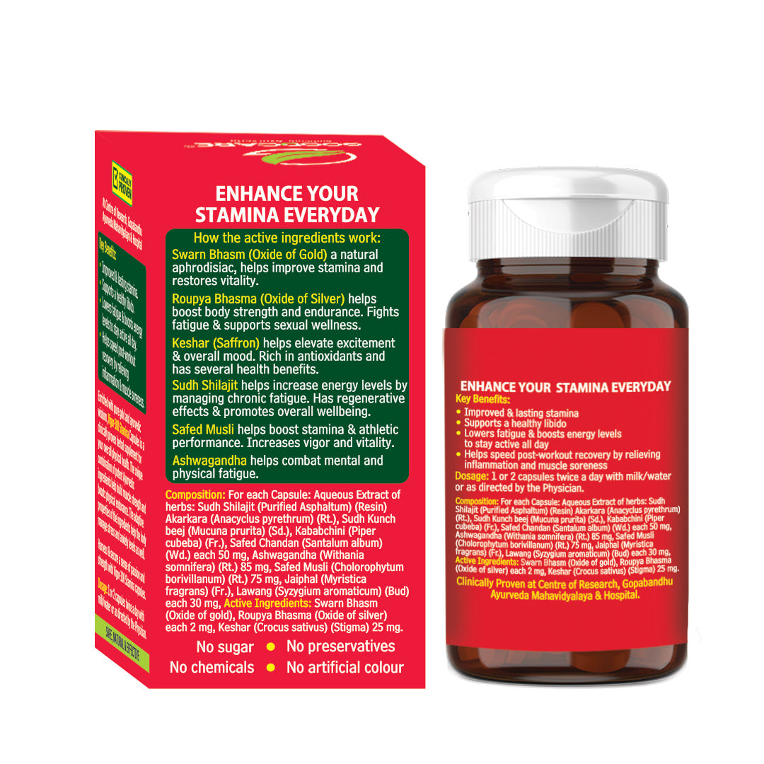 Vigor 100 Stamina Capsule For Vitality & Energy - 30 Capsules