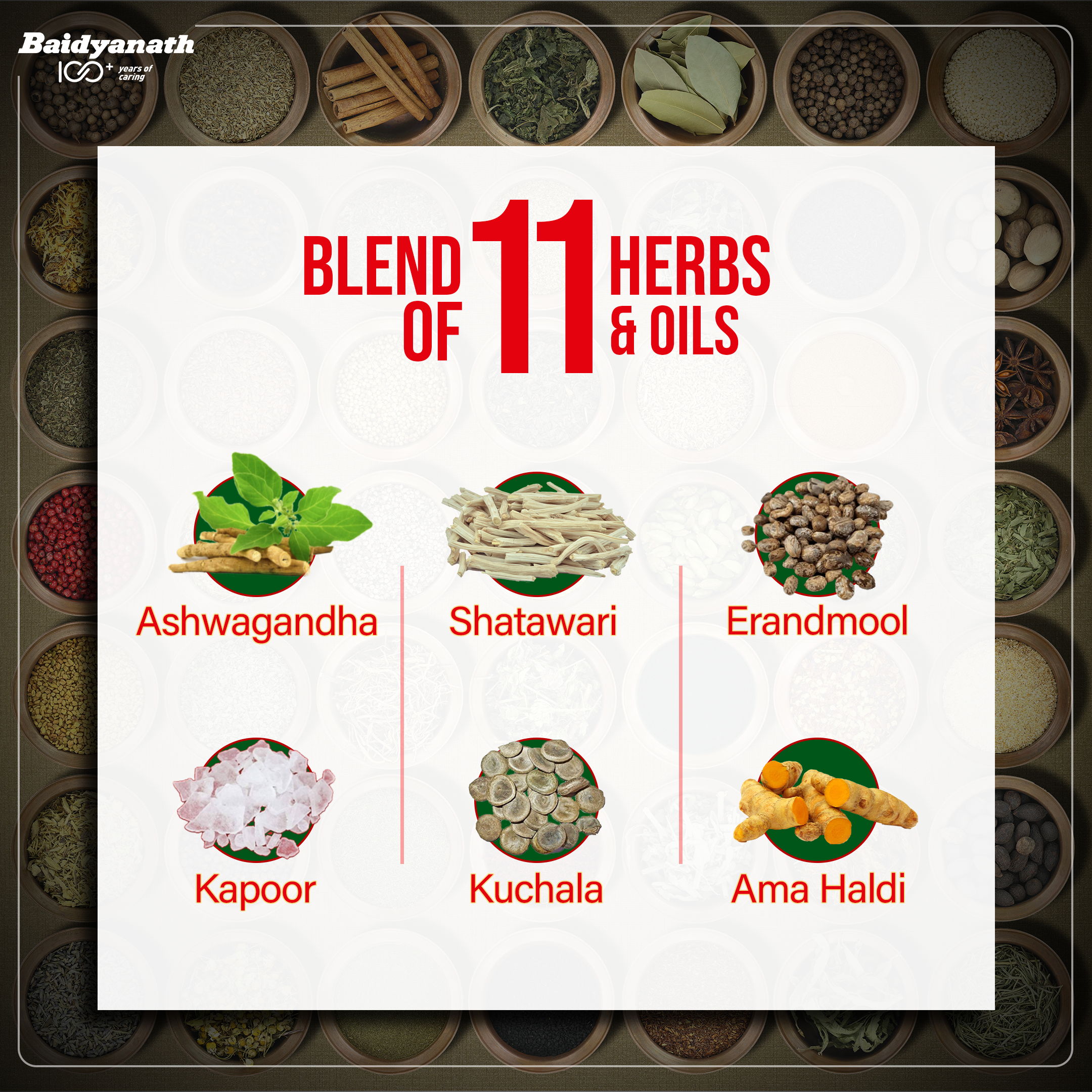 Baidyanath Rhuma Oil | Ayurvedic Pain Relief Oil for Joint & Muscle Pain