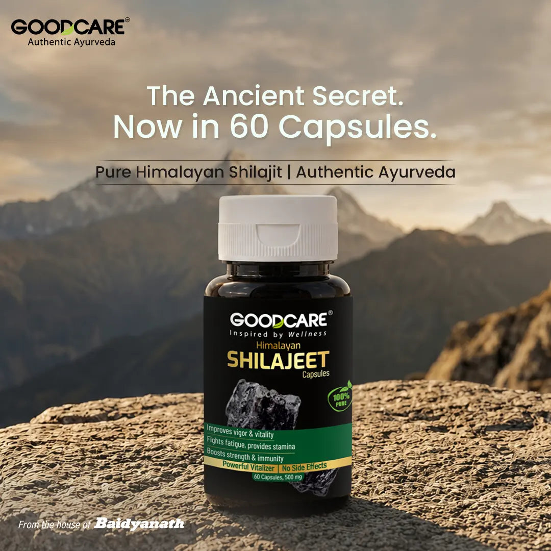 GoodCare Himalayan Shilajeet Capsules - 60 Capsules