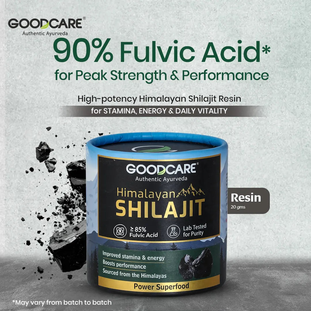 Goodcare Himalayan Shilajit Resin 20 gms
