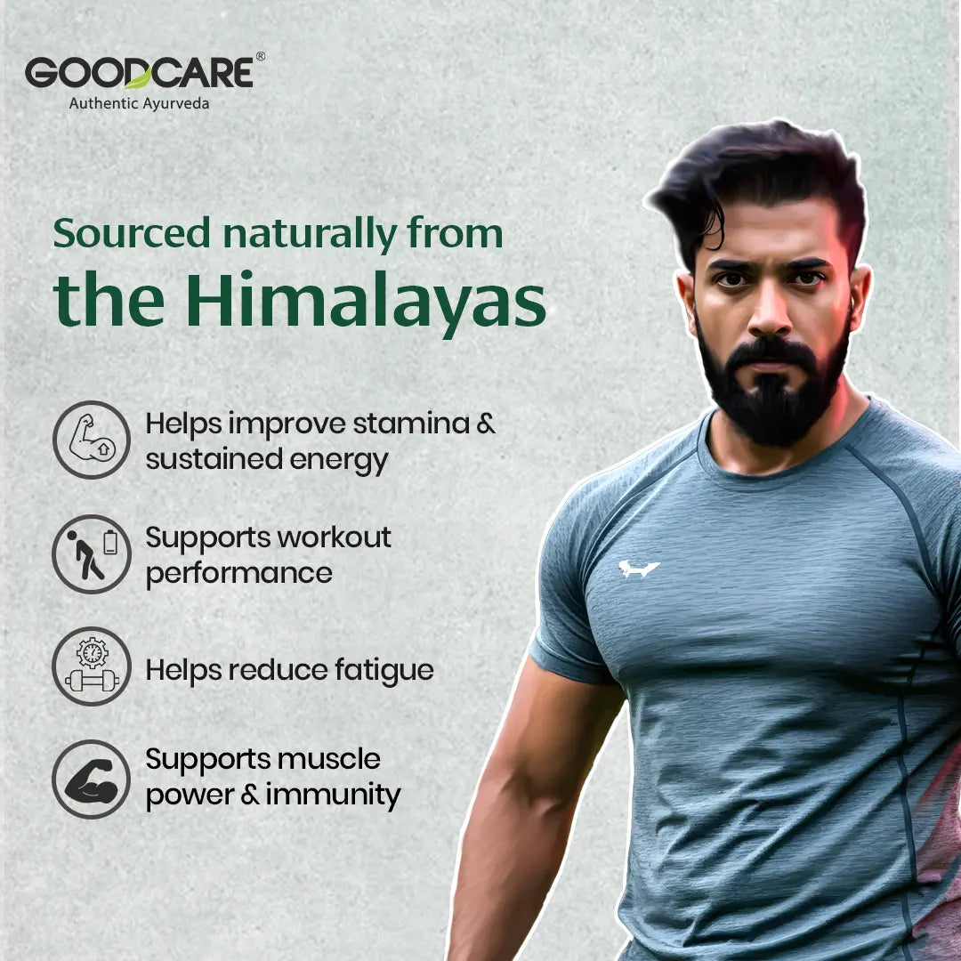Goodcare Himalayan Shilajit Resin 20 gms