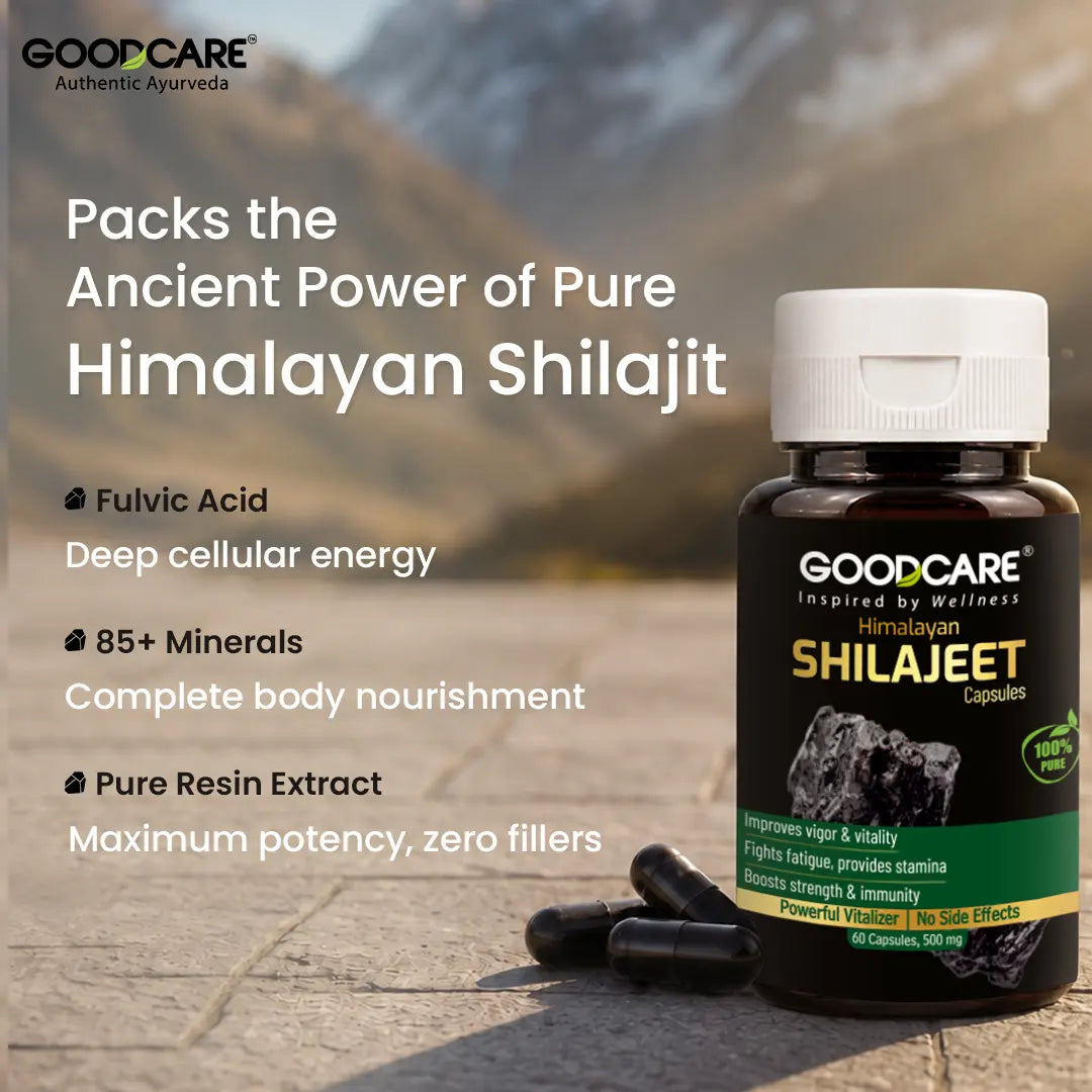 GoodCare Himalayan Shilajeet Capsules - 60 Capsules