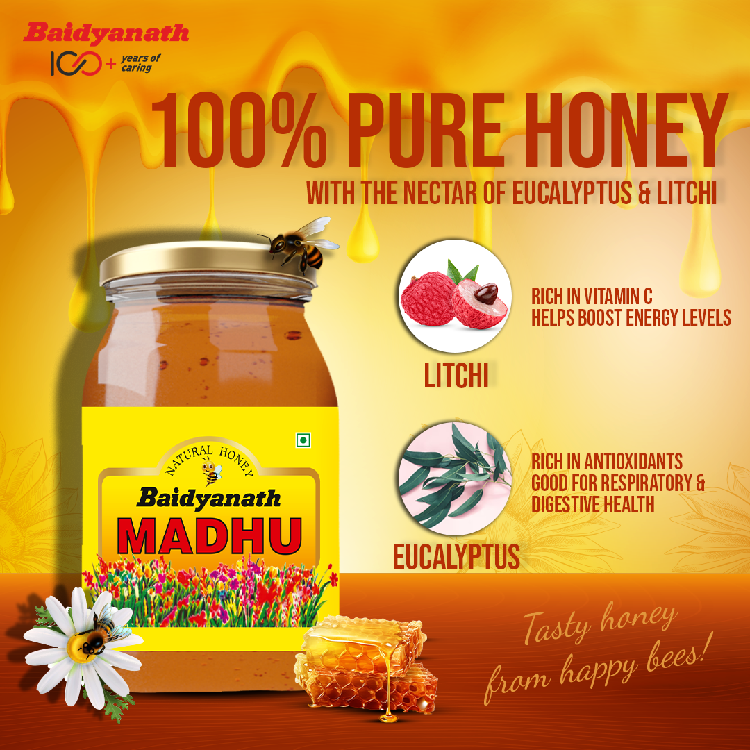 Baidyanath Madhu – Raw, Natural Honey with No Added Sugar - 500ml