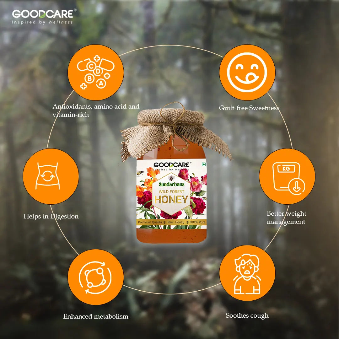 GoodCare Wild Forest Honey – Natural, Antioxidant-Rich & Immunity Boosting - 500Ml