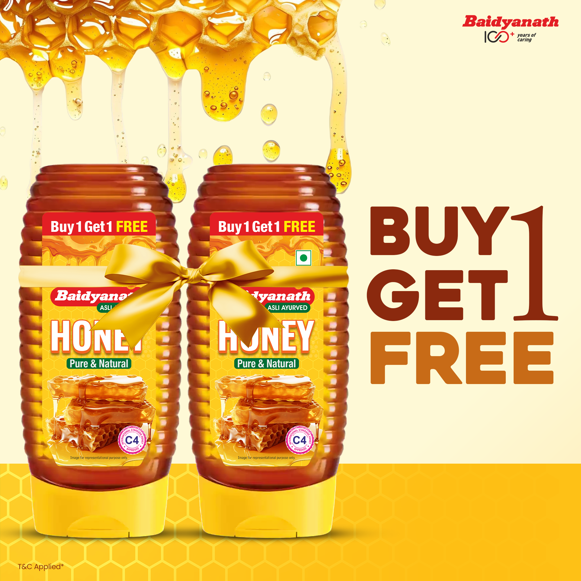 Baidyanath Squeezy Honey – Natural, C4 Approved Honey for Immunity & Wellness