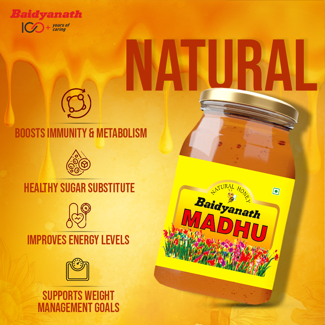 Baidyanath Madhu – Raw, Natural Honey with No Added Sugar - 500ml