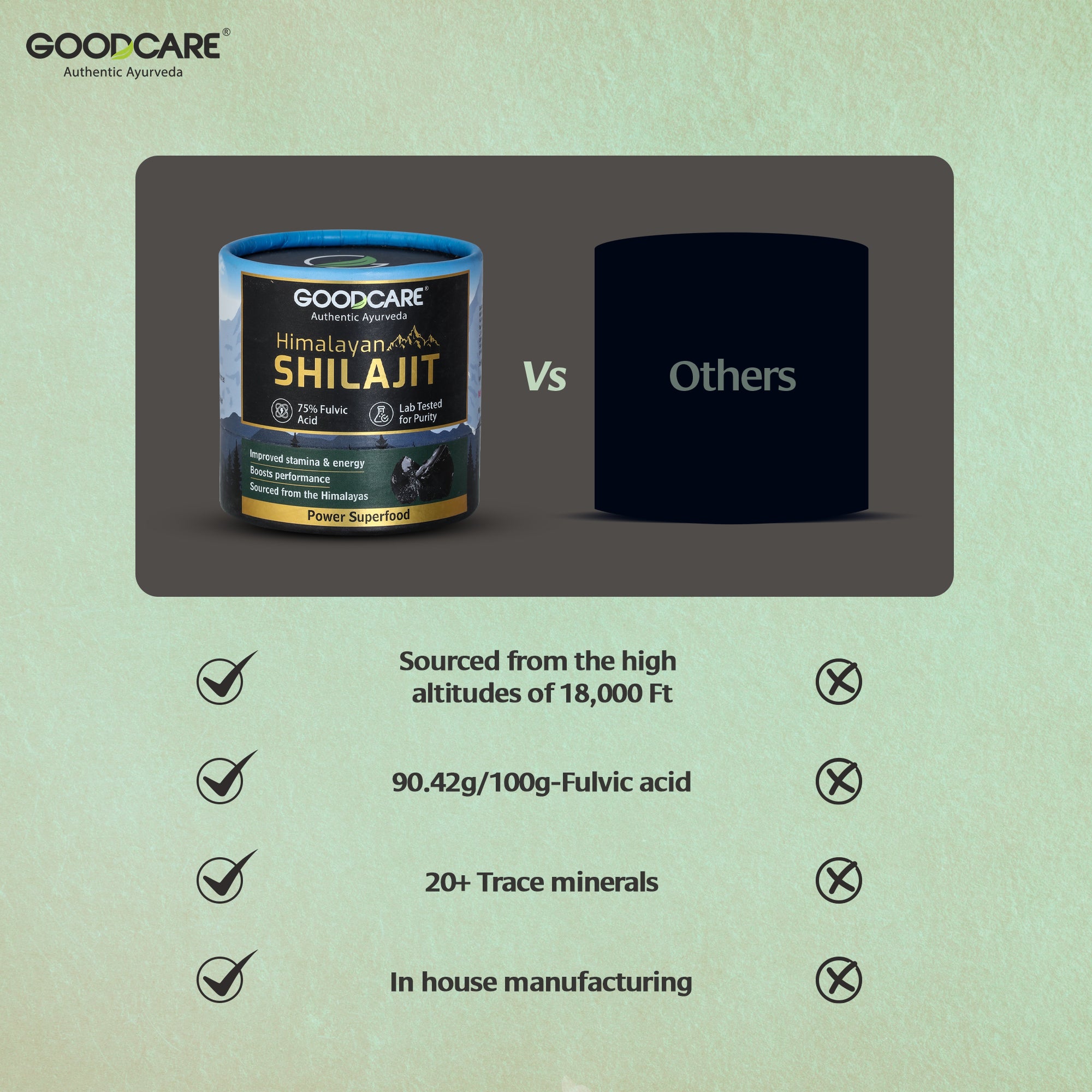 Goodcare Himalayan Shilajit Resin 15 gm