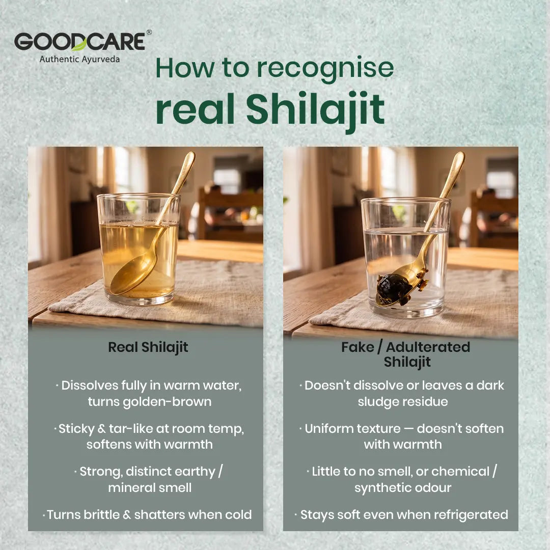 Goodcare Himalayan Shilajit Resin 20 gms