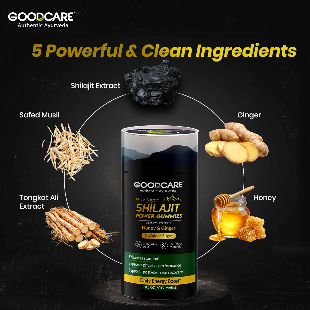 Baidyanath Goodcare Shilajit Power Gummies 60 – Energy, Stamina & Daily Wellness