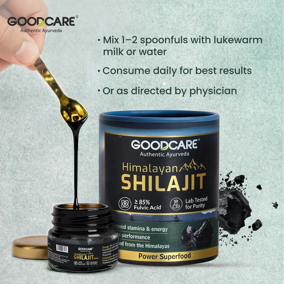Goodcare Himalayan Shilajit Resin 20 gms