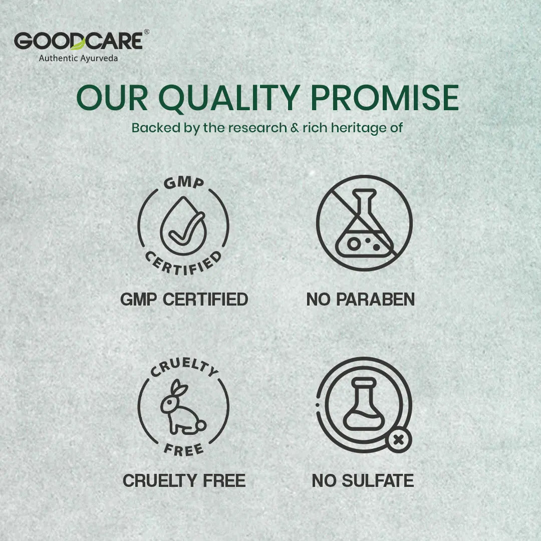 Goodcare Himalayan Shilajit Resin 20 gms
