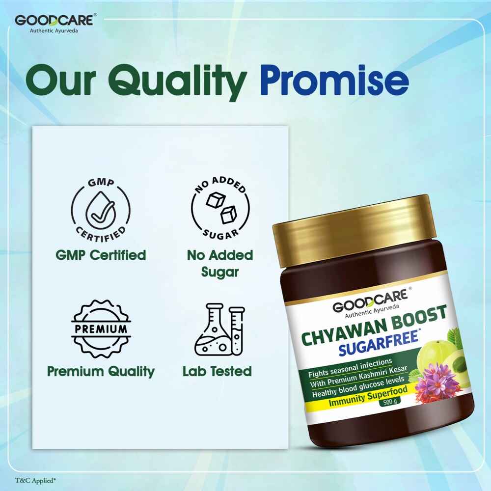 Goodcare Chyawan Boost Sugarfree - 500 Gm