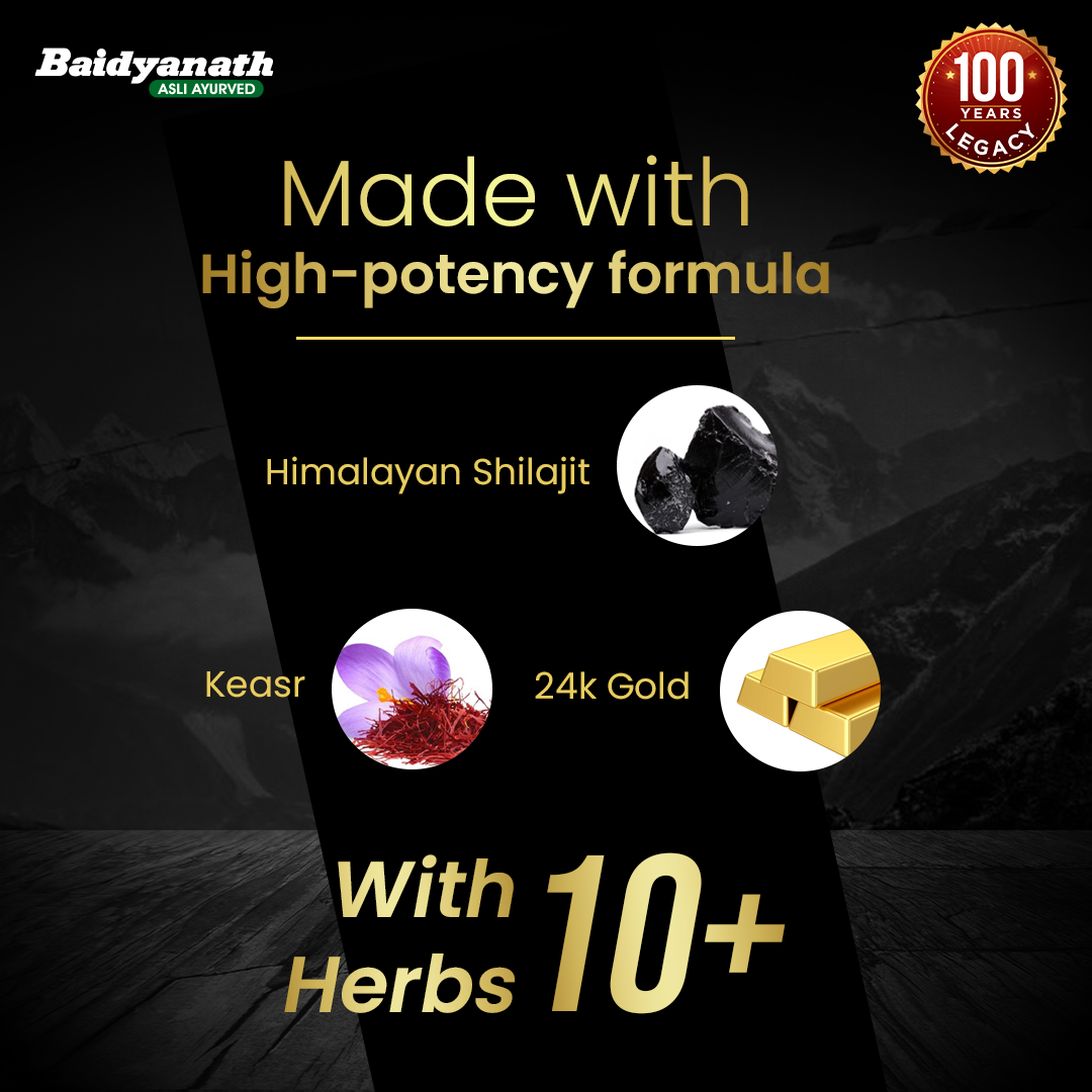 Baidyanath Himalayan Shilajit – Pure Strength & Stamina - 50 Tablets