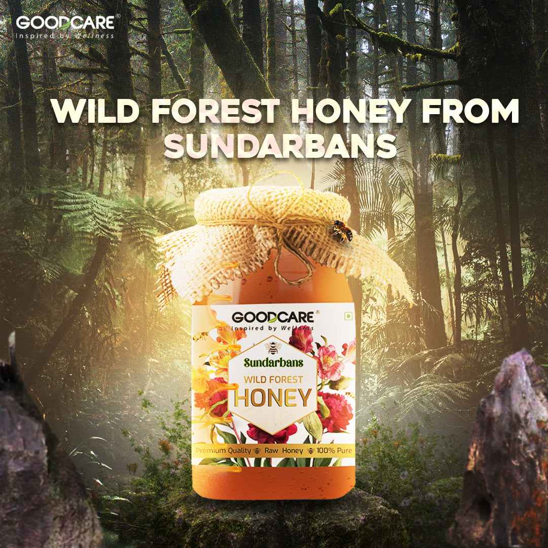 GoodCare Wild Forest Honey – Natural, Antioxidant-Rich & Immunity Boosting - 500Ml