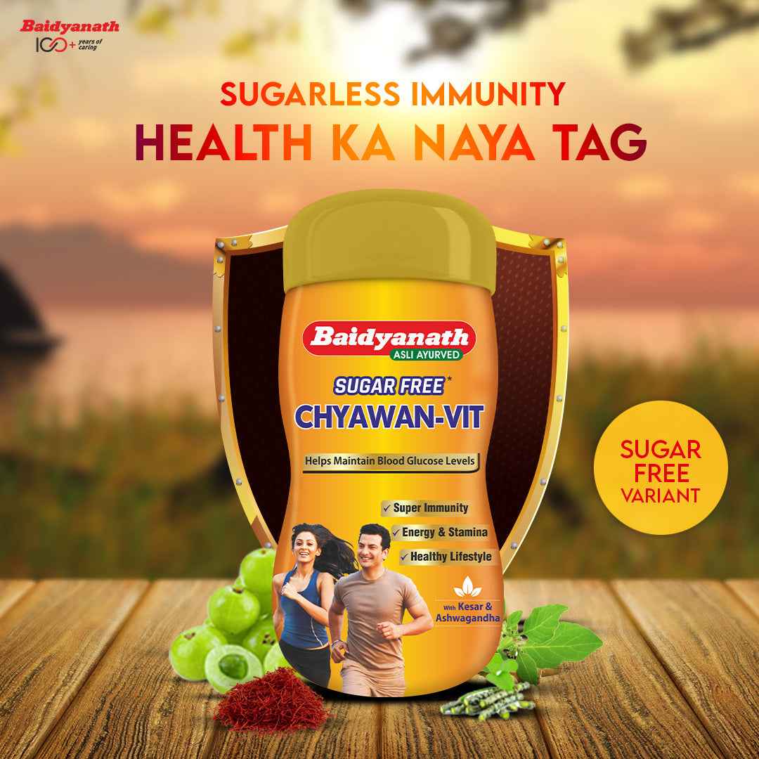 Sugarfree Chyawan Vit | Chyawanprash (Specially Formulated) - Baidyanath