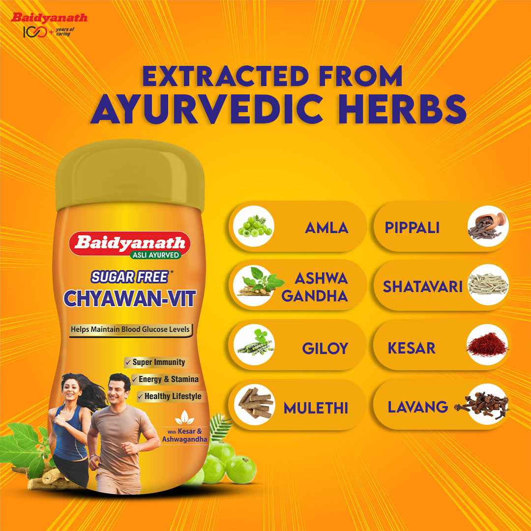Sugarfree Chyawan Vit | Chyawanprash (Specially Formulated) - Baidyanath