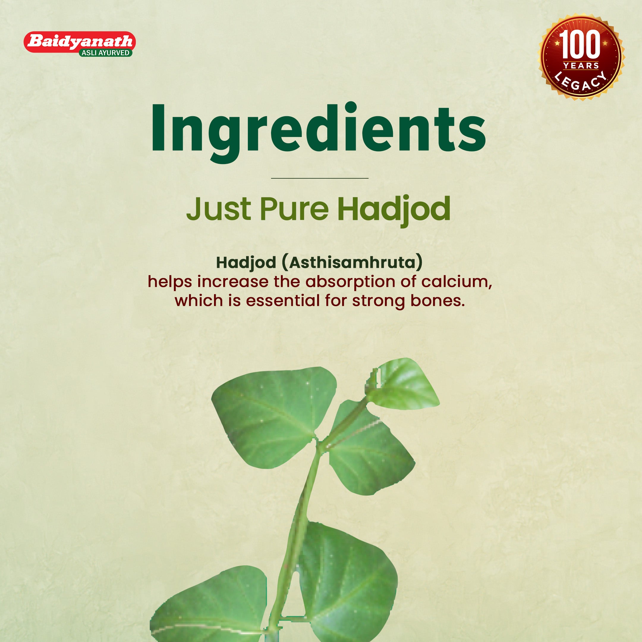Baidyanath Hadjod 60 Tablets For Strong Bone and Joint Wellness