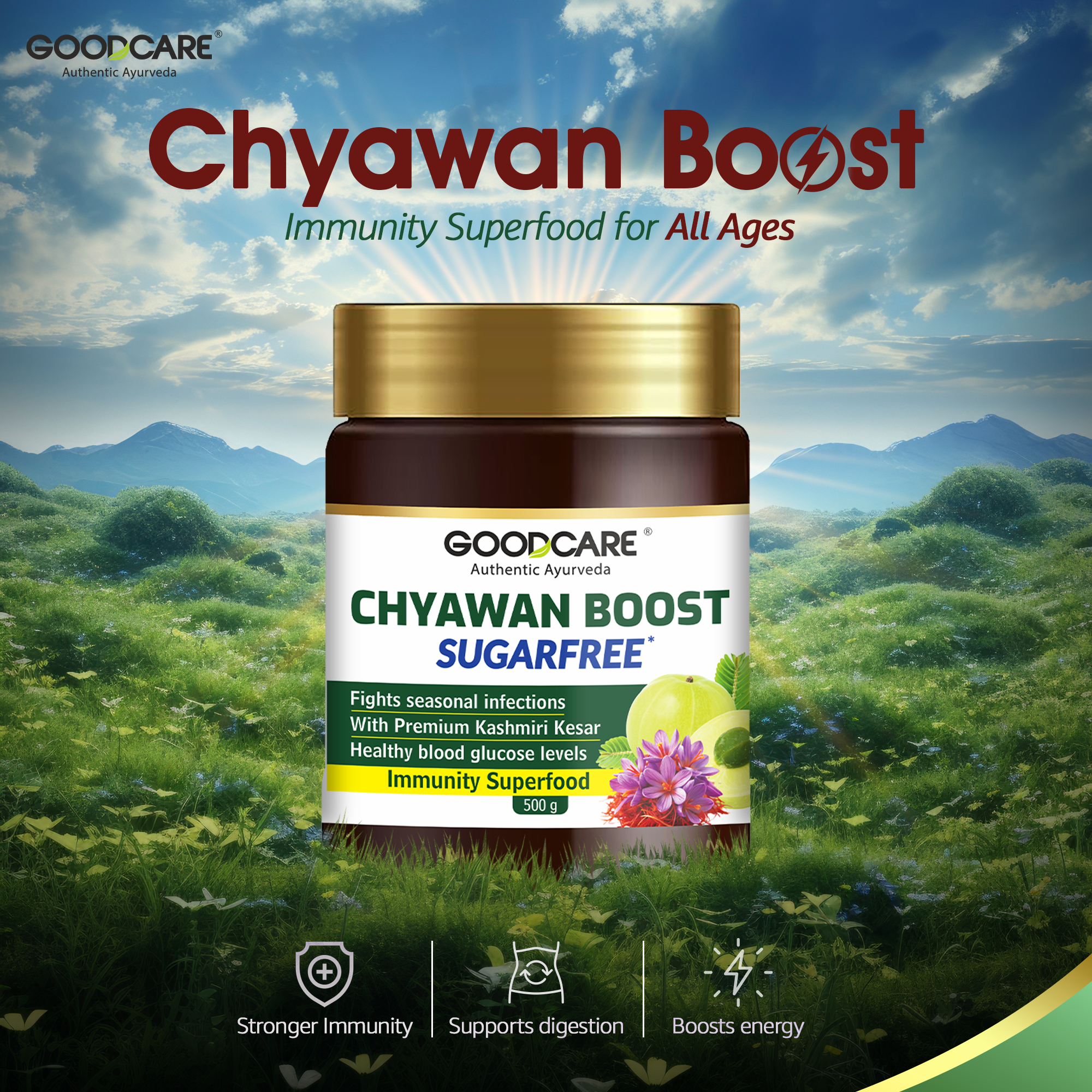 Goodcare Wild Forest Honey & Chyawan Boost: A Natural Health Combo