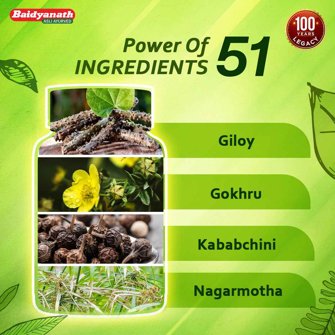 Baidyanath Chandraprabha Bati Tablet – Ayurvedic Support for Urinary Health & Healthy Urine Flow (51 Herb Formula) - 100 Tablets - Baidyanath