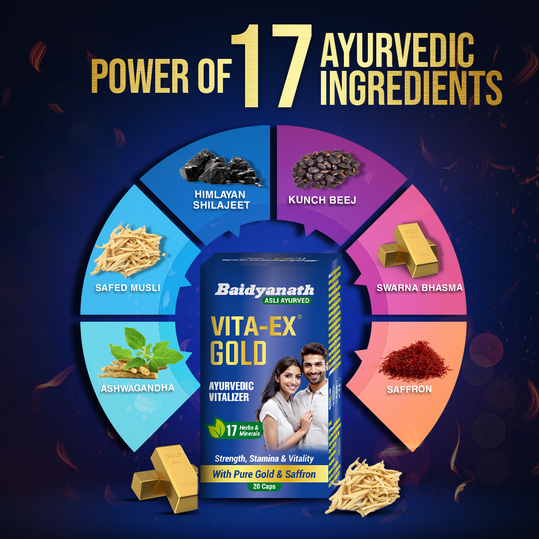 Baidyanath Vita-Ex Gold For Men
