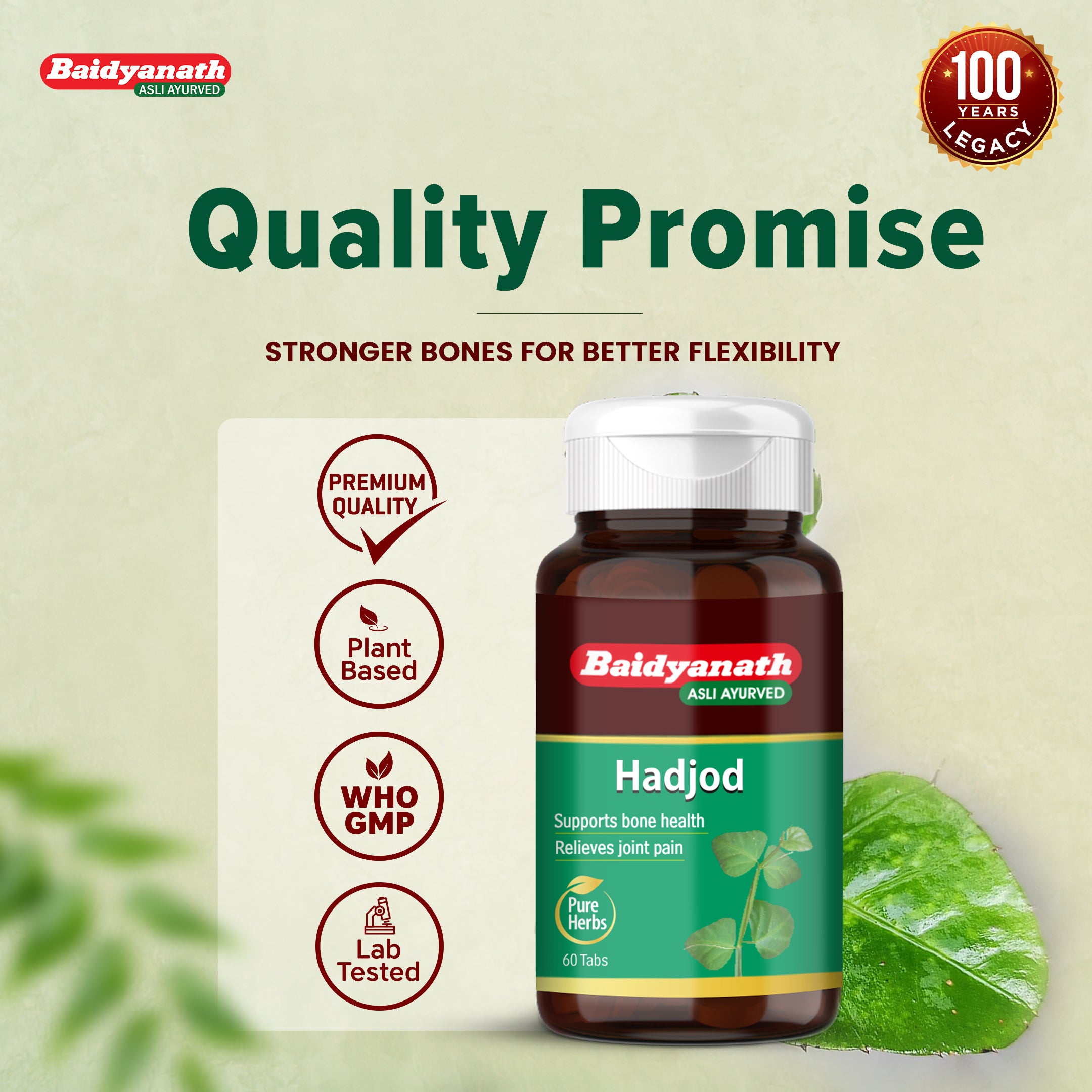 Baidyanath Hadjod 60 Tablets For Strong Bone and Joint Wellness