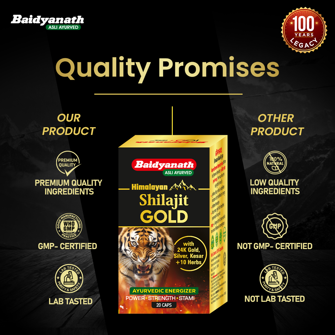 Baidyanath Himalayan Shilajit – Pure Strength & Stamina - 50 Tablets