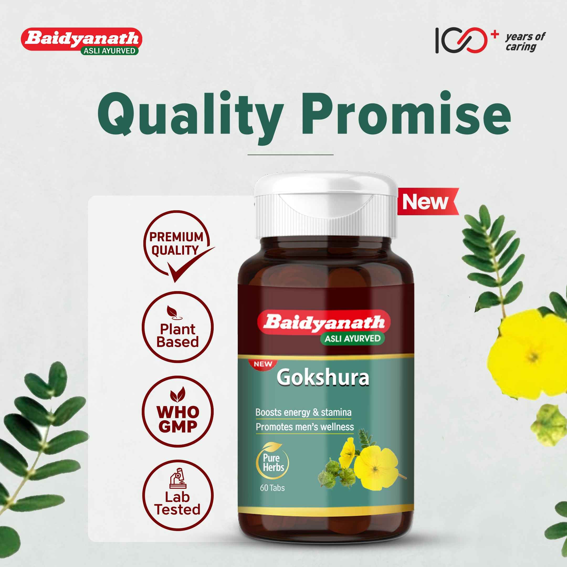 Baidyanath Gokshura 60 Tablets – Ayurvedic Men’s Wellness Support for Strength & Stamina