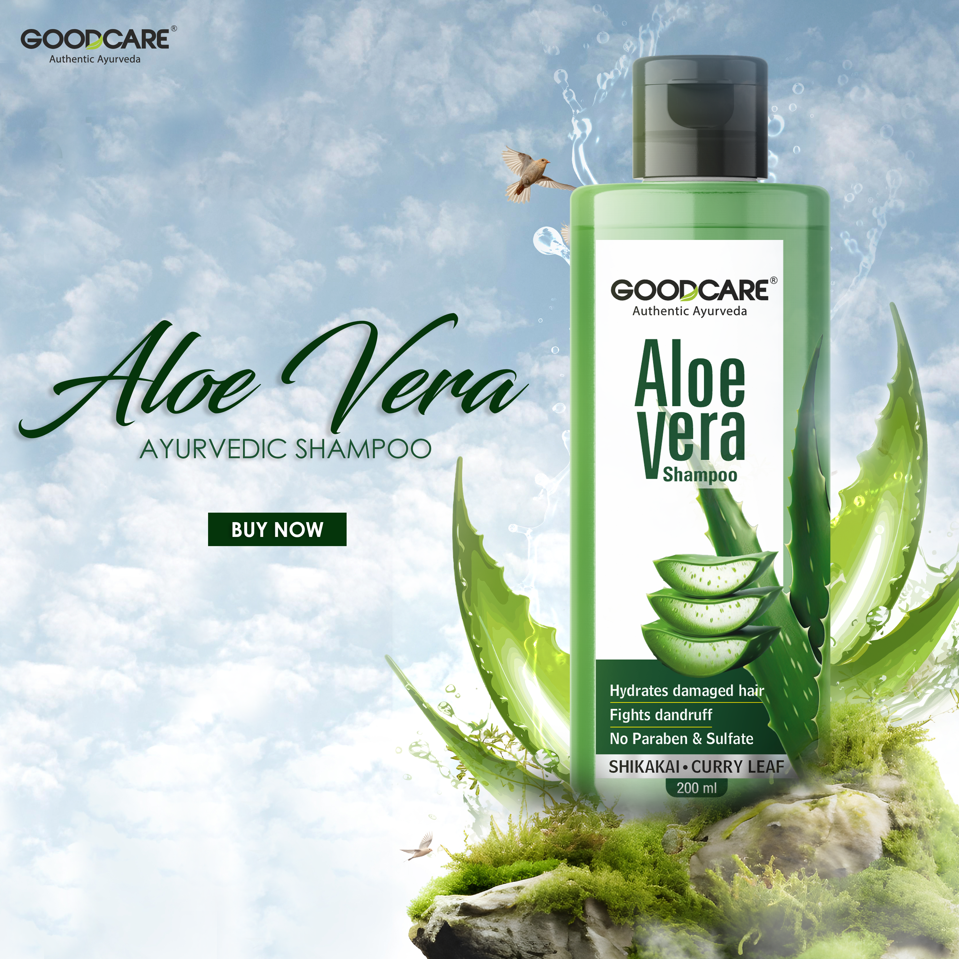 Dandruff Cure Combo of Aloevera Gel & Shampoo