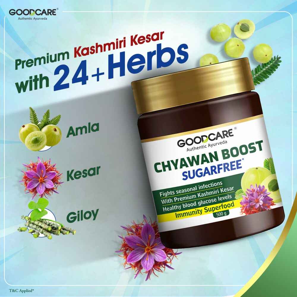 Goodcare Chyawan Boost Sugarfree - 500 Gm