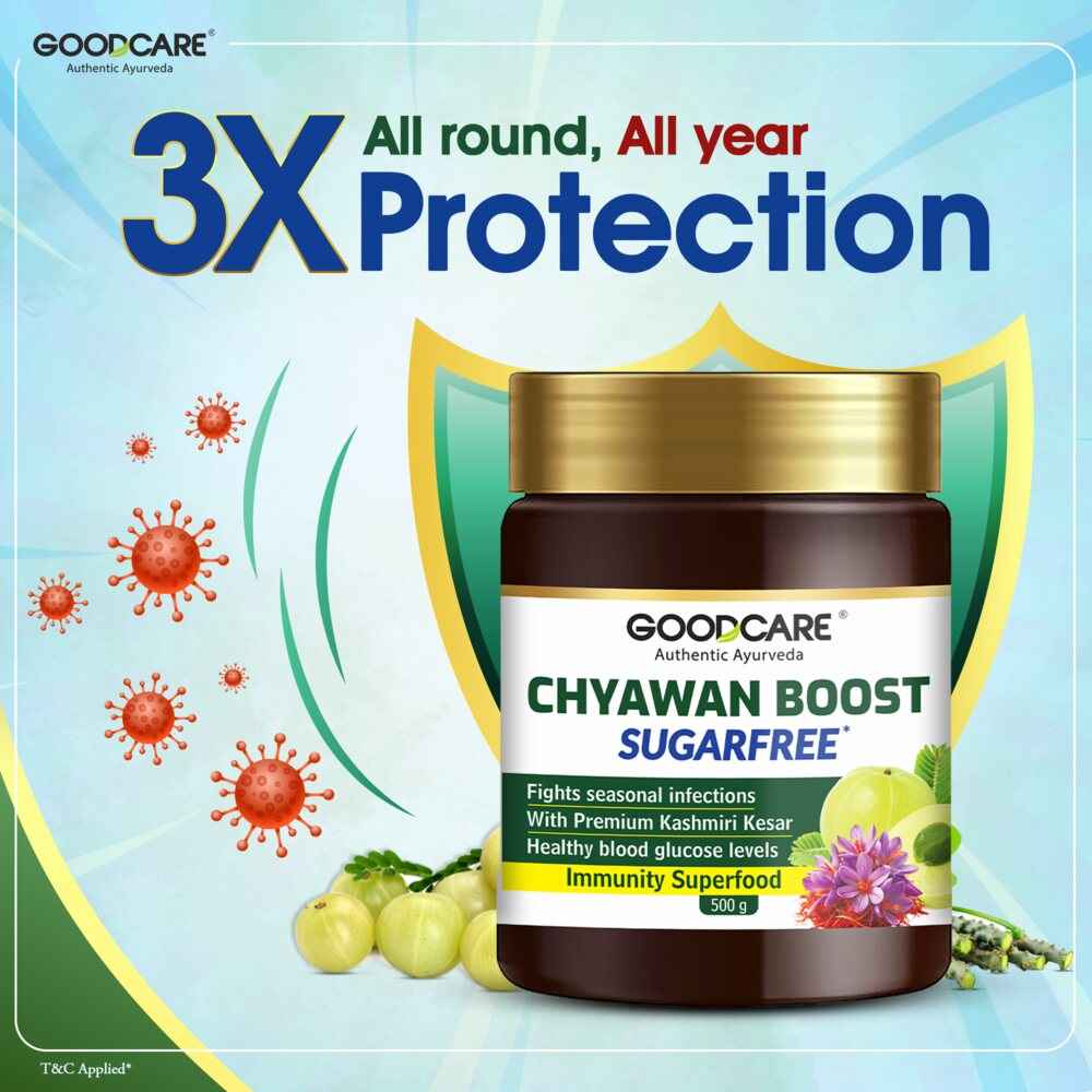 Goodcare Chyawan Boost Sugarfree - 500 Gm