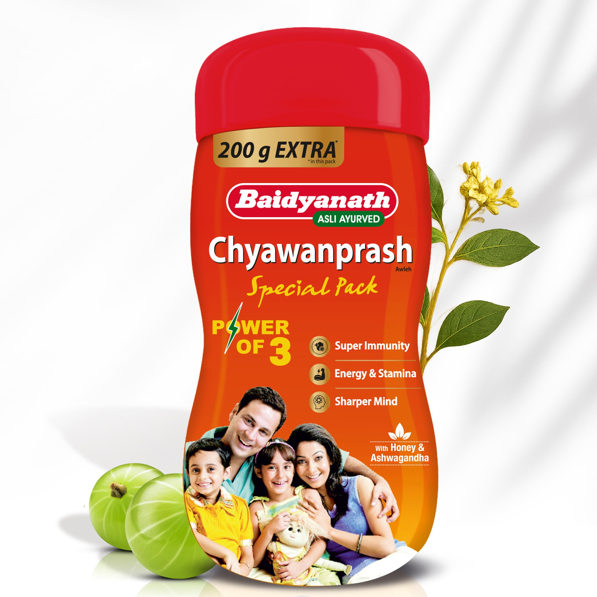 Baidyanath Chyawanprash Special Pack