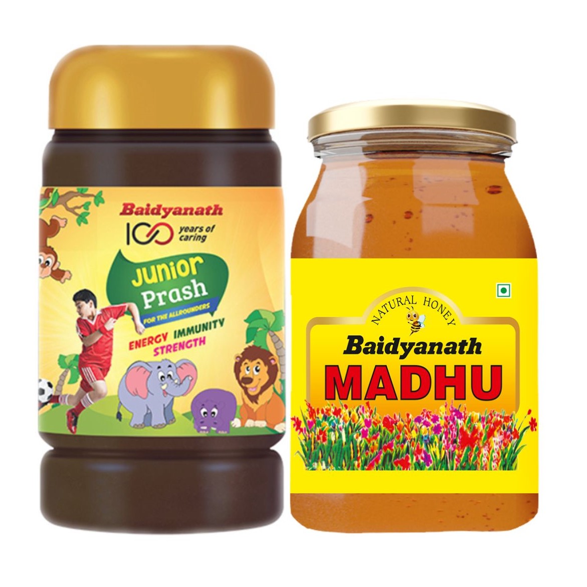 Baidyanath Junior Prash-Immunity Booster With Madhu combo - 500gm Each