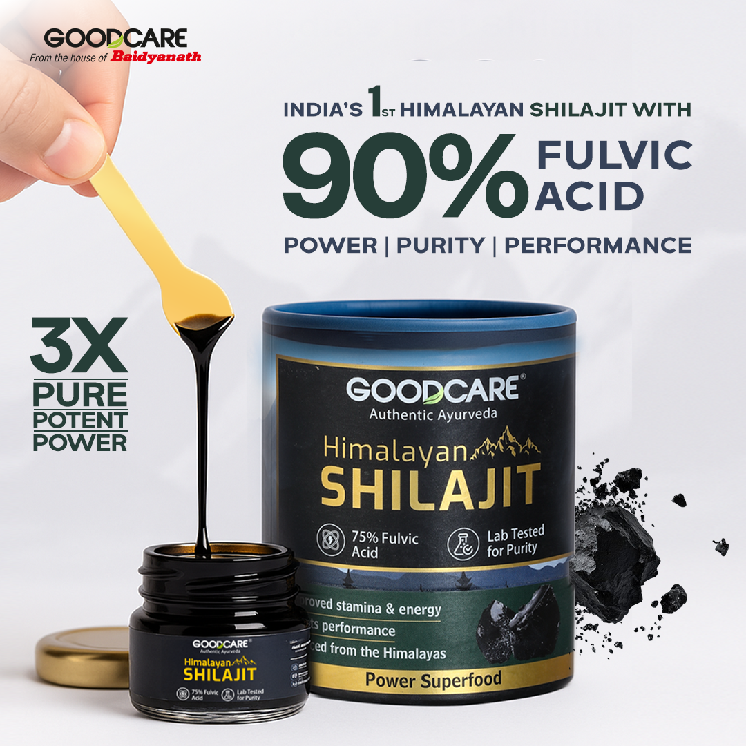 Goodcare Himalayan Shilajit Resin 15 gm