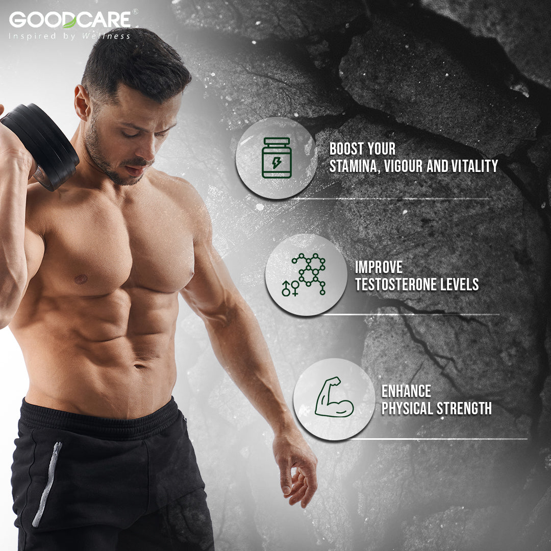 GoodCare Himalayan Shilajeet Capsules - 60 Capsules