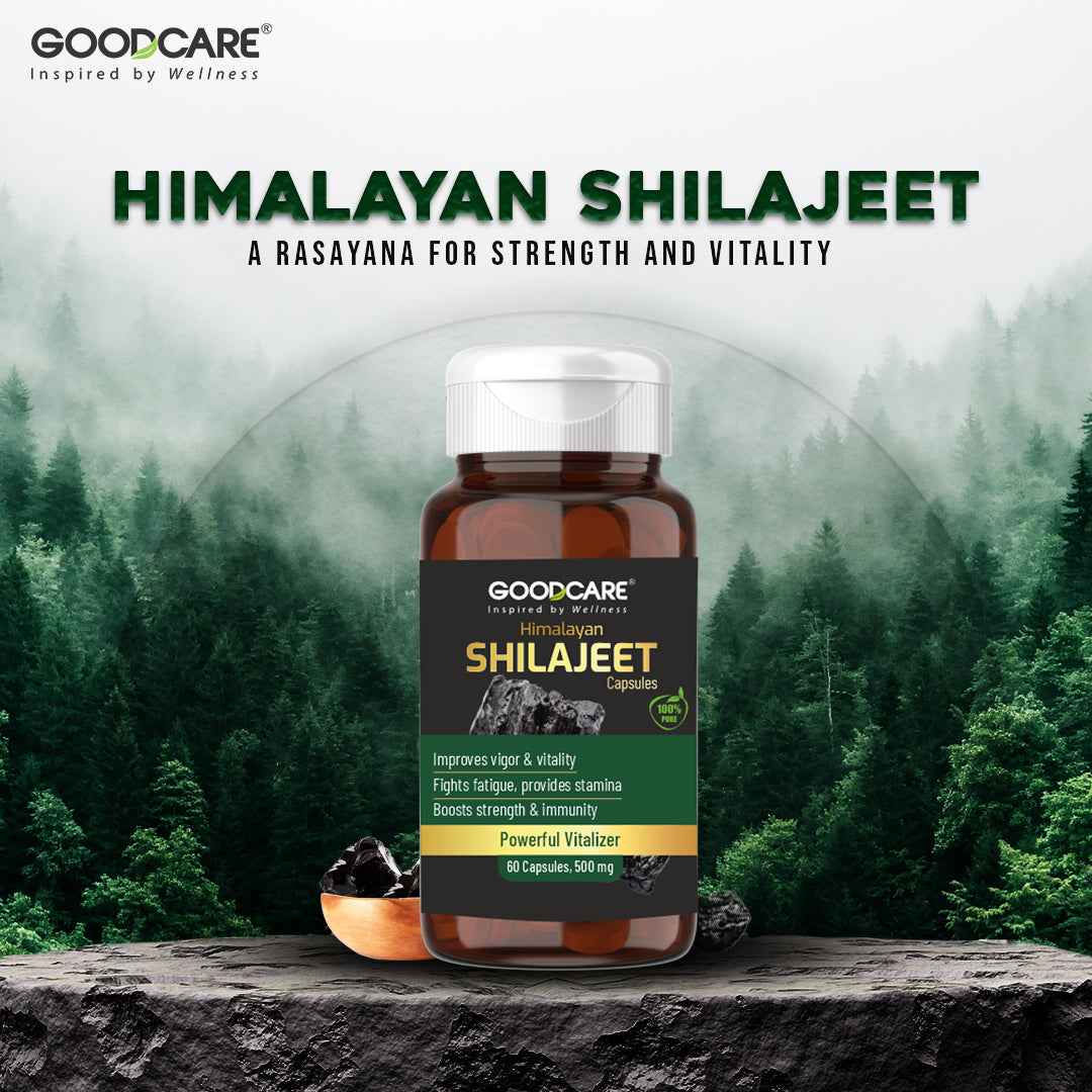 5 Benefits of Himalayan Shilajit: Unlock Your Full Potential - Baidyanath
