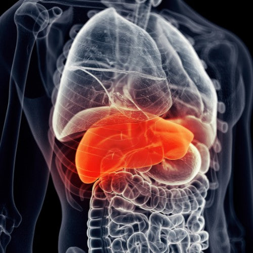 11 Natural Ways to A Happier Liver