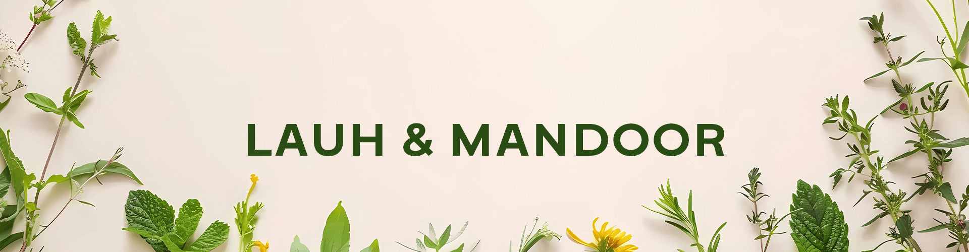 Lauh & Mandoor