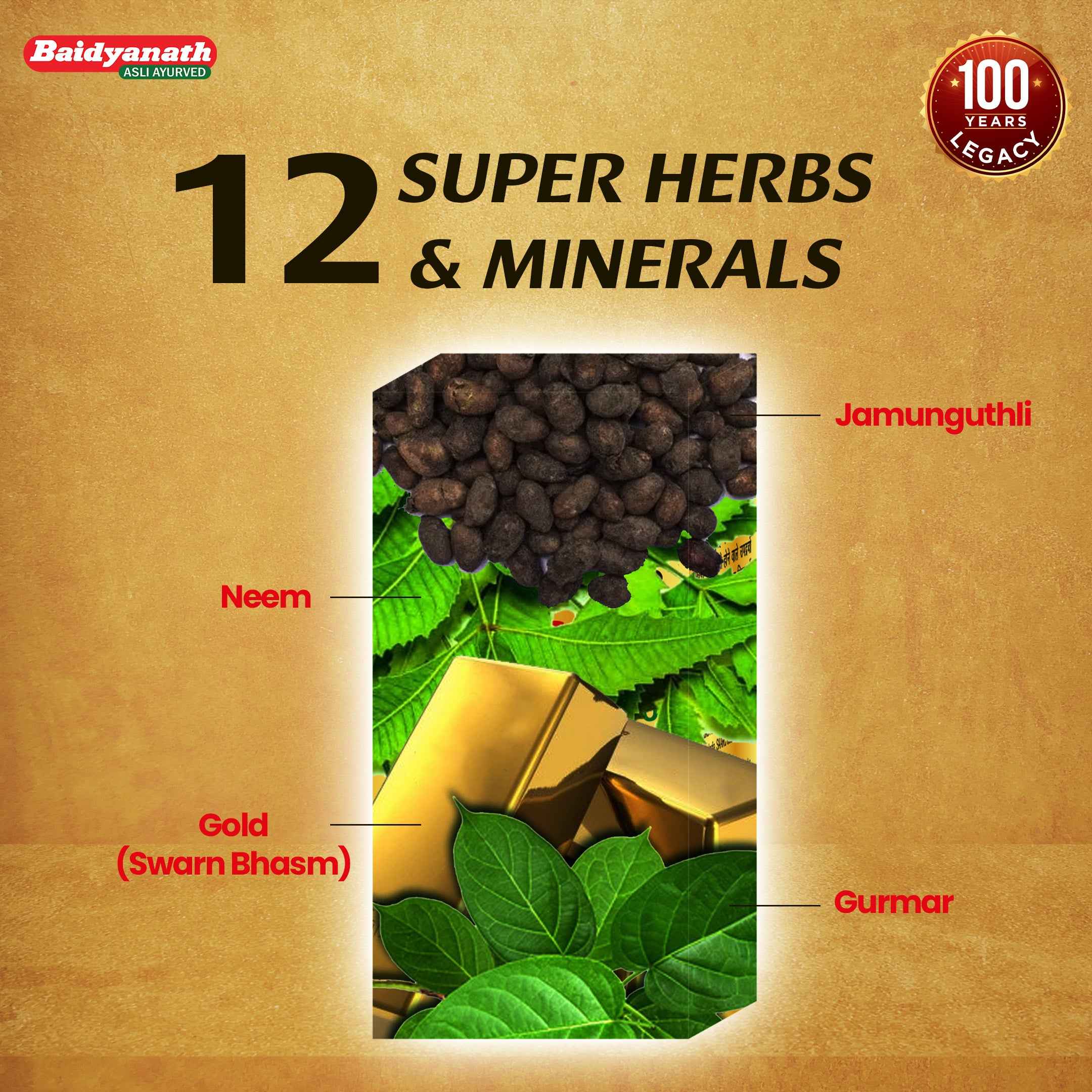 Baidyanath Madhumehari Yog With Gold- Effective In Managing Blood Sugar - 30 Tablets