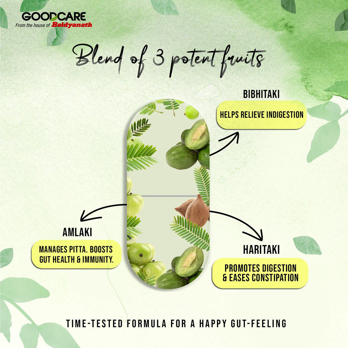 Goodcare Triphala Tablets | 60 Tab