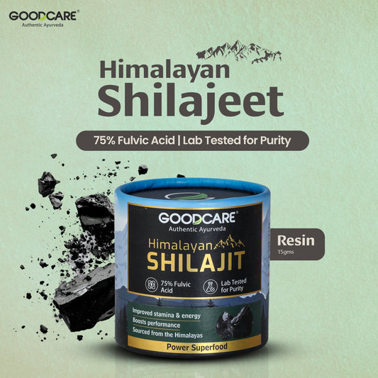 Goodcare Himalayan Shilajit Resin 15 gm