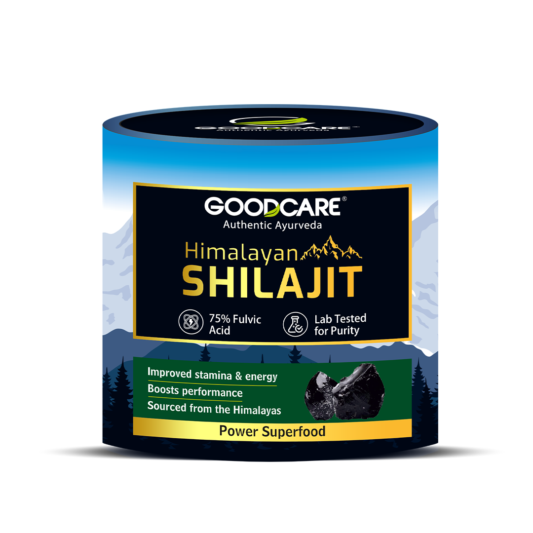 Goodcare Himalayan Shilajit Resin 15 gm