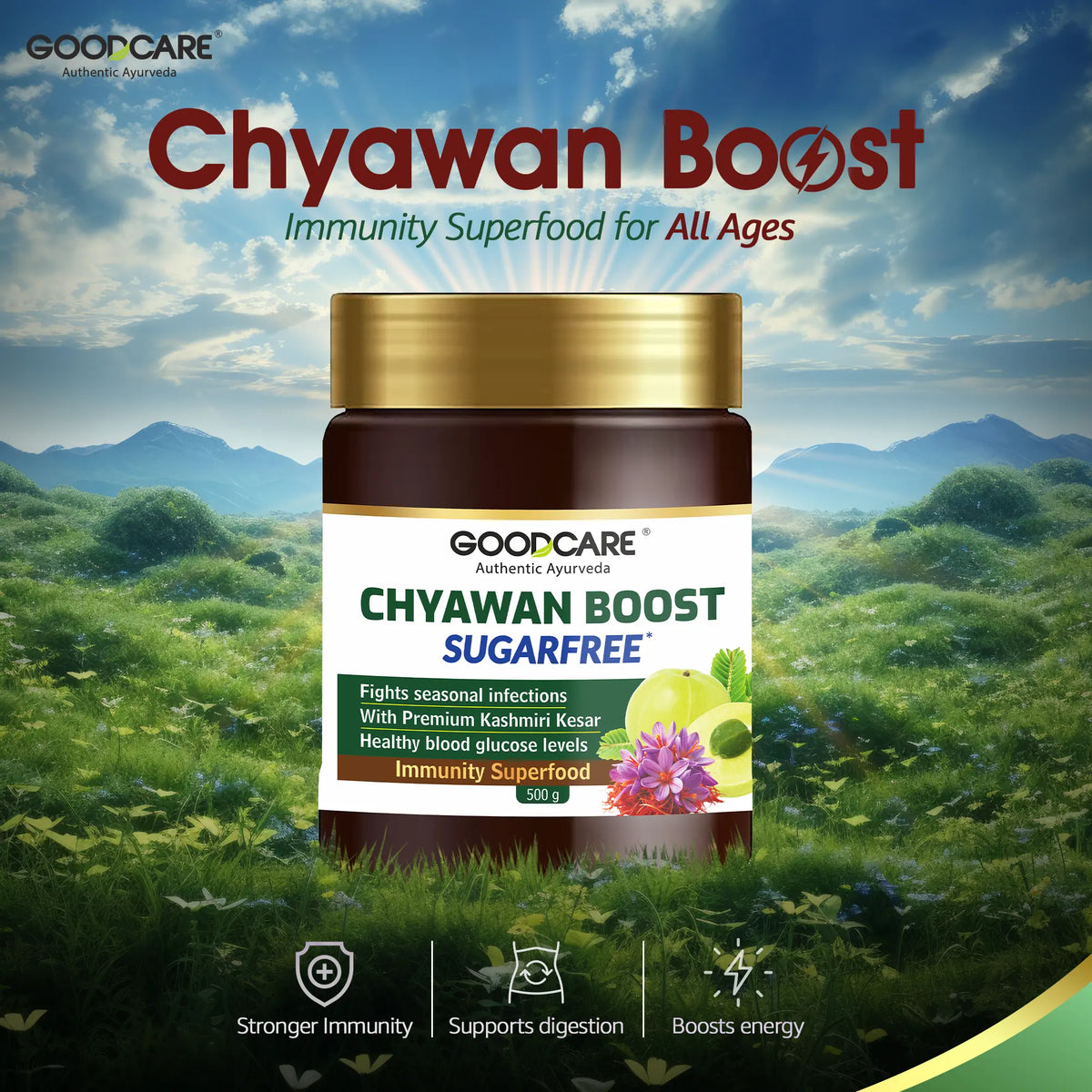Goodcare Chyawan Boost Sugarfree - 500 Gm